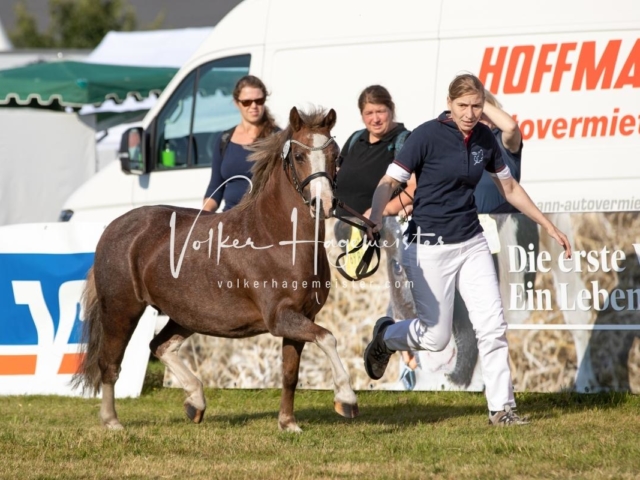 NORLA Sieger 2021 18