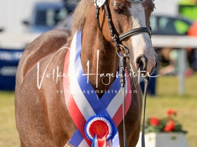 NORLA Sieger 2021 19