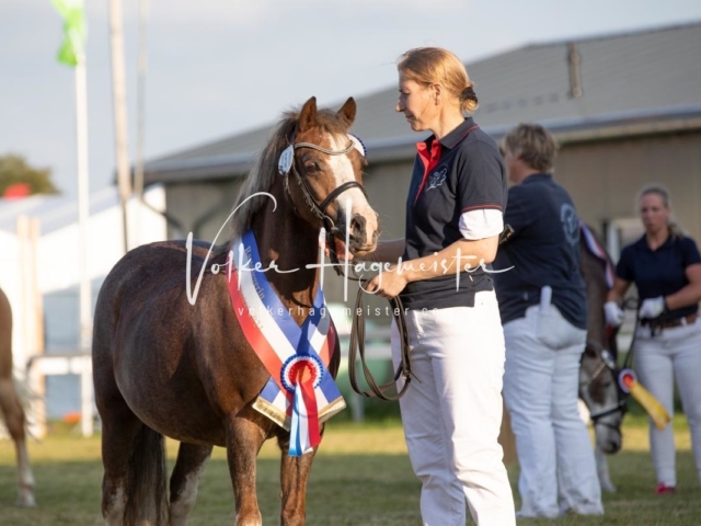 NORLA Sieger 2021 20