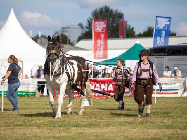 NORLA Sieger 2021 23