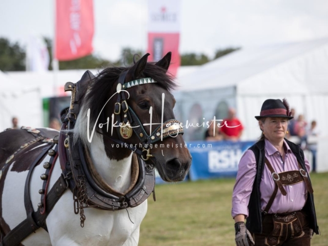 NORLA Sieger 2021 24