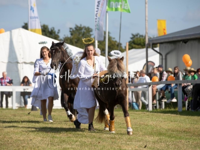 NORLA Sieger 2021 26