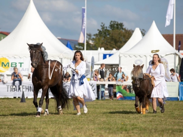 NORLA Sieger 2021 27