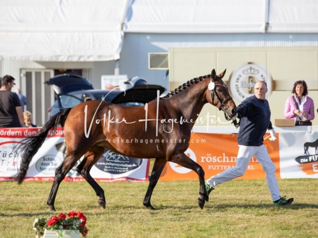 NORLA Sieger 2021 10