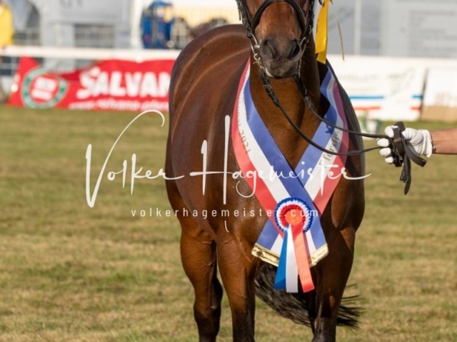 NORLA Sieger 2021 14