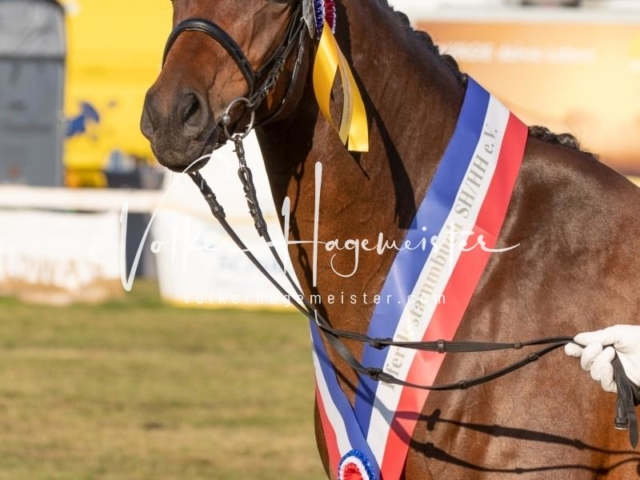 NORLA Sieger 2021 16