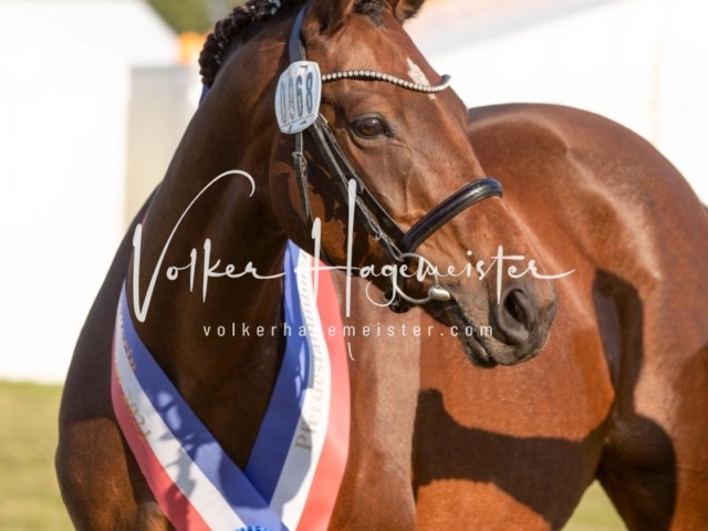 NORLA Sieger 2021 18