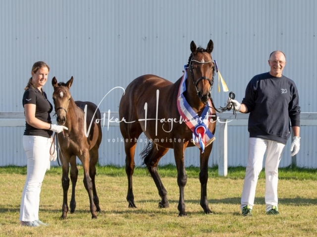 NORLA Sieger 2021 19