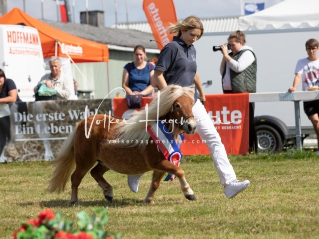 NORLA Sieger 2021 20