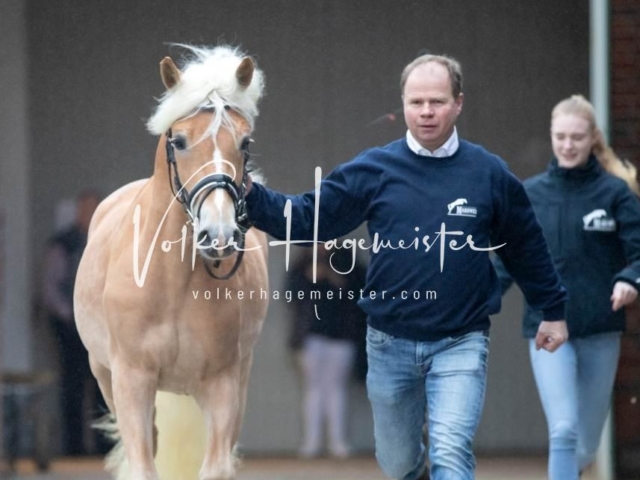 PSB Körung Freitag 6