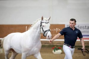 PSB Körung Samstag 8