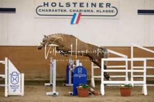 PSB Körung Samstag 15