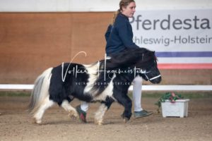 PSB Körung Sonntag 8