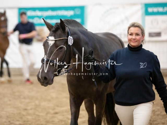 PSB Körung Freitag 16