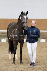 PSB Körung Samstag 8