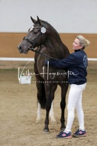 PSB Körung Samstag 10