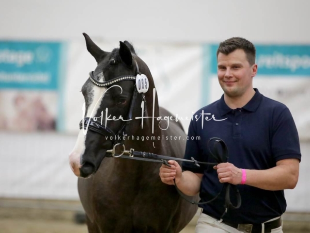 PSB Körung Freitag 21