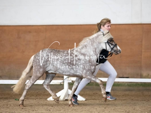 PSB Sieger und Impressionen 25