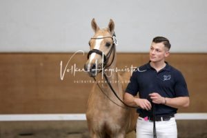 PSB Körung Samstag 20