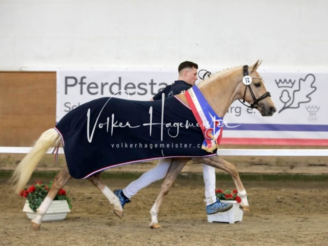 PSB Sieger und Impressionen 1