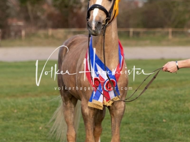 PSB Sieger und Impressionen 4