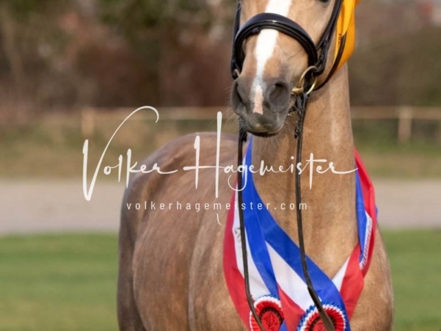 PSB Sieger und Impressionen 5