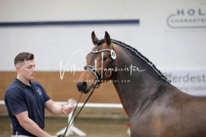 PSB Körung Samstag 1