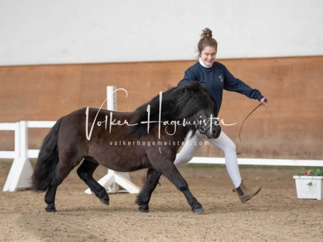 PSB Sieger und Impressionen 6