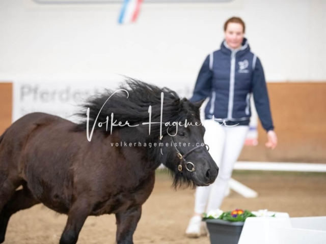 PSB Sieger und Impressionen 7