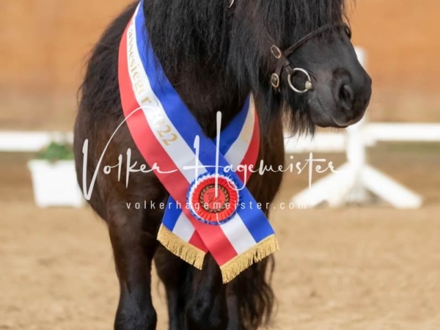 PSB Sieger und Impressionen 9