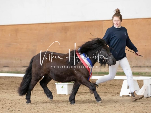 PSB Sieger und Impressionen 10