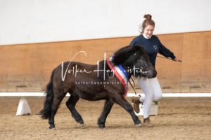 PSB Körung Sonntag 15