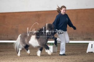 PSB Körung Sonntag 16