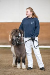 PSB Körung Sonntag 21