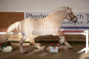 PSB Körung Samstag 9