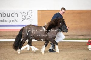 PSB Körung Sonntag 27