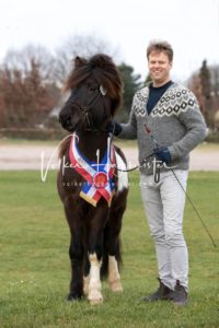 PSB Körung Sonntag 29