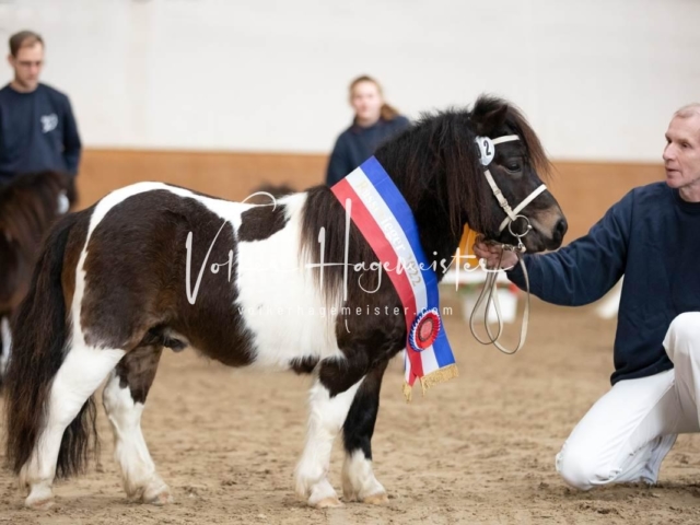 PSB Sieger und Impressionen 16