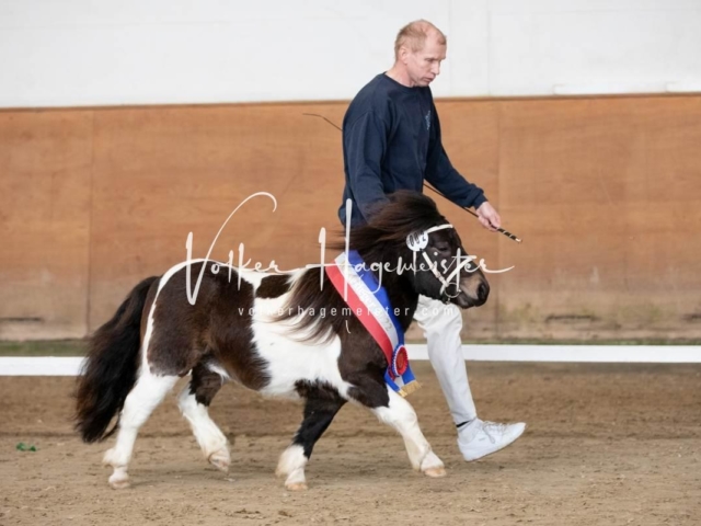 PSB Sieger und Impressionen 17