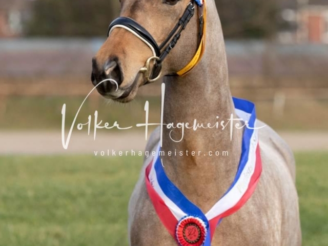 PSB Sieger und Impressionen 19