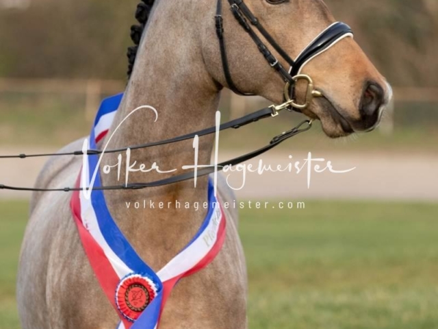 PSB Sieger und Impressionen 20