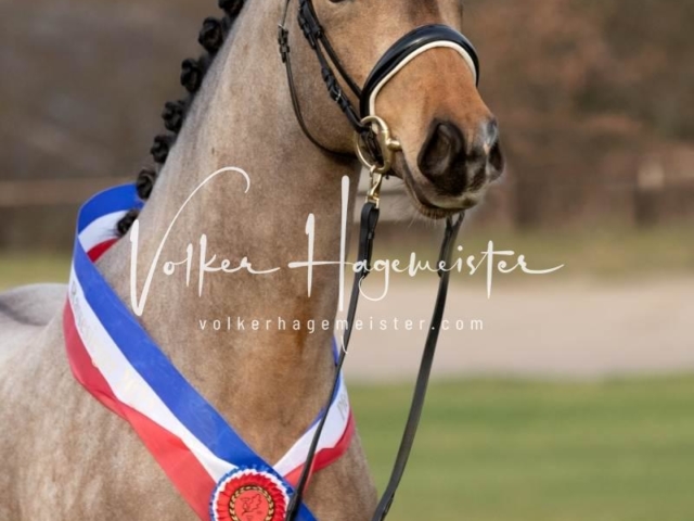 PSB Sieger und Impressionen 21