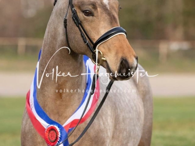 PSB Sieger und Impressionen 22