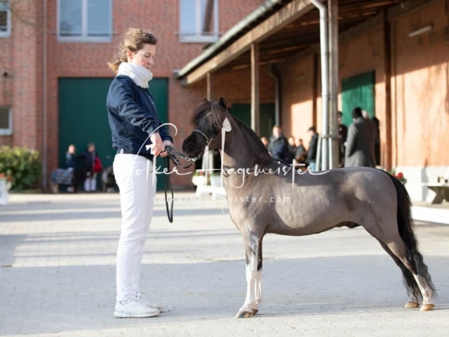 PSB Sieger und Impressionen 23