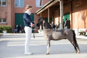 PSB Körung Samstag 23