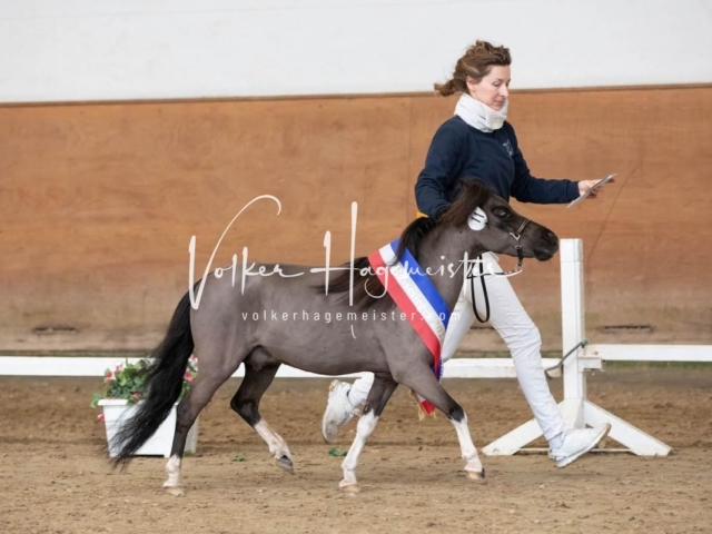 PSB Sieger und Impressionen 28