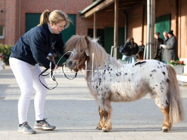 PSB Sieger und Impressionen 30