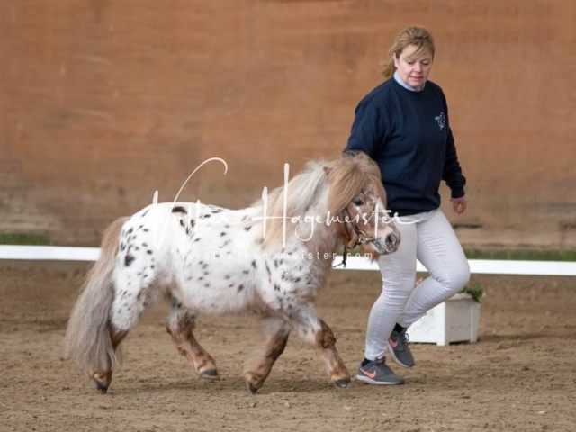 PSB Sieger und Impressionen 1