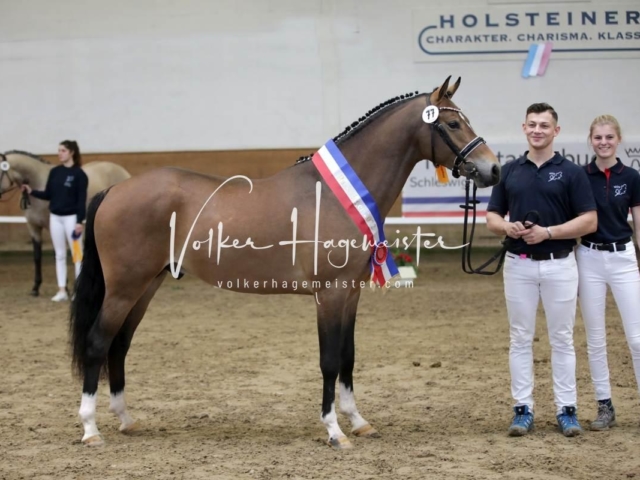 PSB Sieger und Impressionen 4