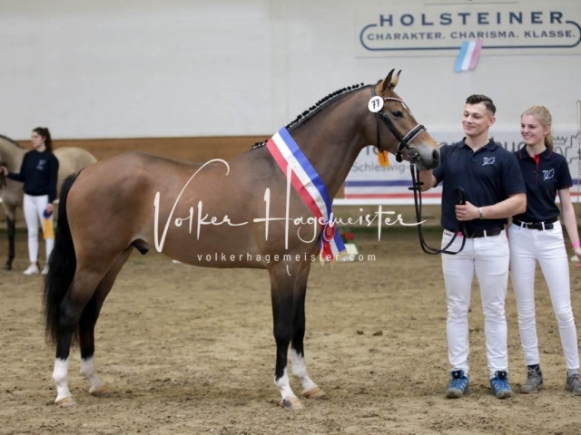 PSB Sieger und Impressionen 5